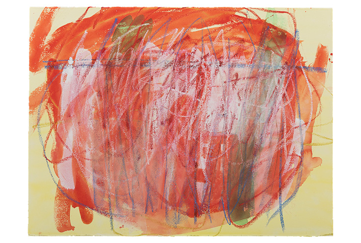 Drawn water/painted land    2014    watercolor/oil pastel on paper     26x40"