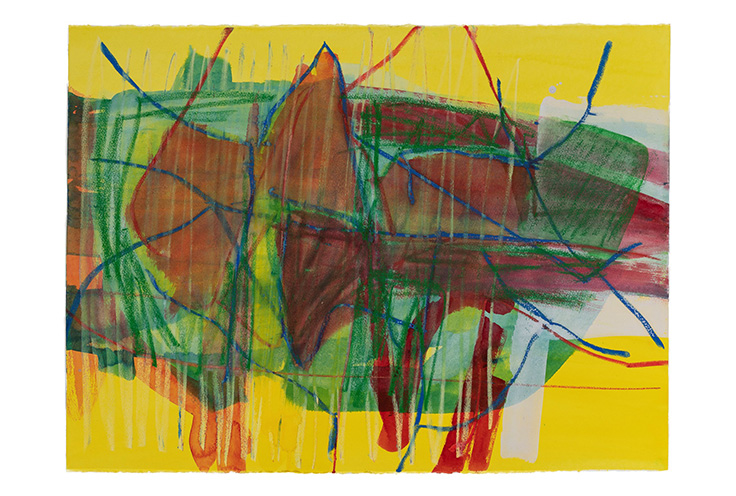 Drawn water/painted land    2014    watercolor/oil pastel on paper     26x40"